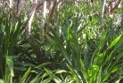 Glenelg NSWorganic-gardening-18.jpg; ?>